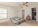 An airy bedroom with two windows, neutral carpet, ceiling fan, and potential for personalization at 22216 W Bajada Dr, Wittmann, AZ 85361
