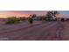 Desert home featuring a large yard, mature trees, and a covered porch to enjoy sunsets at 22216 W Bajada Dr, Wittmann, AZ 85361