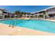 A beautiful clean pool surrounded by lounge seating and umbrellas for shade at 255 S Kyrene Rd # 139, Chandler, AZ 85226