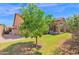 Lush backyard featuring a small citrus tree and covered patio at 7261 E Norland St, Mesa, AZ 85207