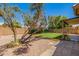 Landscaped backyard featuring a green lawn, mature trees, decorative rock, and a paved patio area at 8478 W Grovers Ave, Peoria, AZ 85382
