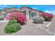 Charming home featuring beautiful desert landscaping and vibrant bougainvillea bushes at 1527 S 219Th Ln, Buckeye, AZ 85326