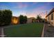 Private backyard featuring green turf, mature trees, and tasteful nighttime lighting at 18835 W San Miguel Ave, Litchfield Park, AZ 85340