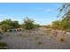 Scenic view of the community walking path with desert landscaping and trees, enhancing the natural beauty of the surroundings at 18835 W San Miguel Ave, Litchfield Park, AZ 85340