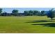 A soccer field in a neighborhood featuring a well-maintained green and surrounding trees at 18835 W San Miguel Ave, Litchfield Park, AZ 85340