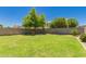 A spacious grassy backyard bordered by a block wall and mature trees at 38191 W Merced St, Maricopa, AZ 85138