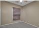Neutral bedroom with beige walls, plush gray carpet, and a ceiling fan and window with shade at 645 W Longhorn Dr, Chandler, AZ 85286