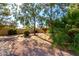Backyard with desert landscaping, gravel, bushes, and mature trees at 780 W Morelos Ct, Chandler, AZ 85225