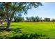Expansive green space with mature trees, perfect for recreation and community activities at 780 W Morelos Ct, Chandler, AZ 85225