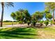 Lush neighborhood park boasting mature palm trees, grassy areas, and well-maintained walking paths at 780 W Morelos Ct, Chandler, AZ 85225