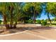 Picturesque park path lined with shady trees, offering a peaceful retreat for walking and recreation at 780 W Morelos Ct, Chandler, AZ 85225