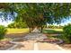 Scenic park featuring a tree-lined pathway, open grassy areas, and shady spots for relaxation at 780 W Morelos Ct, Chandler, AZ 85225