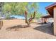 Spacious backyard with mature trees, covered patio and sturdy block wall around the perimeter at 11030 N 47Th Ave, Glendale, AZ 85304