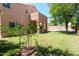 Lush backyard with a covered patio, green lawn, and a fenced-in pool area, perfect for outdoor living at 111 N Soho Pl, Chandler, AZ 85225