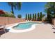 Backyard pool with brick trim and lounge chairs, surrounded by privacy fence and greenery at 111 N Soho Pl, Chandler, AZ 85225