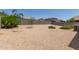 Desert landscaped backyard with rock, wall, and trees at 11303 E Sunflower Ct, Florence, AZ 85132