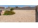 Expansive backyard featuring desert landscaping, providing a blank canvas for your outdoor vision at 11303 E Sunflower Ct, Florence, AZ 85132