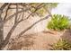 Landscaped backyard featuring low-maintenance desert landscaping at 16781 W Northampton Rd, Surprise, AZ 85374