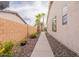 Side yard of home with stone pathway, desert landscaping, and palm trees at 16781 W Northampton Rd, Surprise, AZ 85374