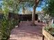 Backyard showcasing a patio, mature trees and a privacy fence at 1742 W Butler Dr, Phoenix, AZ 85021