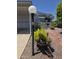 Landscaped front yard with desert plants, a lamp post, and covered carport at 2233 E Behrend Dr # 17, Phoenix, AZ 85024