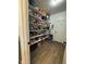 Walk-in pantry with ample shelving for organized storage of food and household supplies at 30394 N Appalachian Trl, San Tan Valley, AZ 85143