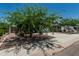 Pleasant street view featuring single-Gathering homes, well-maintained lawns, and mature trees, creating an inviting residential setting at 5709 S 13Th Ave, Phoenix, AZ 85041