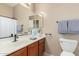 Bathroom with wood vanity and a toilet, highlighted by soft, natural lighting at 6936 E Snowdon St, Mesa, AZ 85207