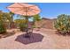 Backyard features outdoor dining set, umbrella, hammock and desert landscaping at 878 E Mountain View Rd, San Tan Valley, AZ 85143