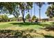 Expansive green lawn surrounded by mature trees, creating a serene and lush outdoor space at 10330 W Thunderbird Blvd # C109, Sun City, AZ 85351