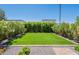 Landscaped backyard with well-maintained lawn, borders, and clear blue sky at 1055 W Diamondback Dr, Chandler, AZ 85286