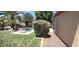 Inviting backyard with well-maintained lawn, mature trees, and a sparkling pool at 15861 W Westview Dr, Goodyear, AZ 85395