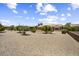 Spacious backyard featuring decorative gravel, mature trees, and a well-maintained desert landscape at 17009 W Eureka Springs Dr, Surprise, AZ 85387