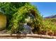 A charming garden archway leads to a serene pathway, adding a touch of whimsy to the outdoor space at 19206 N 40Th St, Phoenix, AZ 85050