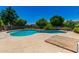 Backyard pool with diving board and greenery at 19206 N 40Th St, Phoenix, AZ 85050