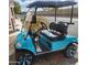 Turquoise golf cart with black top and blue accents, parked near a paved road and a house at 2263 N Trekell Rd # 159, Casa Grande, AZ 85122