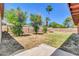 Large grass backyard with trees and block wall fencing at 2324 E Crescent Ave, Mesa, AZ 85204