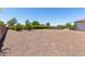 Extensive backyard features fruit trees and mature landscaping at 24840 S 195Th St, Queen Creek, AZ 85142