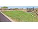 Grassy backyard, complete with play equipment, offers plenty of space for outdoor activities at 28156 N Edwards Rd, San Tan Valley, AZ 85143
