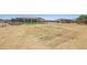 Wide view of a well-maintained horse property with a prepared riding arena at 28156 N Edwards Rd, San Tan Valley, AZ 85143