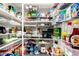 Organized pantry with wire shelving, offering ample storage space for food and household items at 2944 N Brighton --, Mesa, AZ 85207