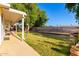 Expansive backyard featuring a covered patio, well-maintained lawn, and decorative wall providing a serene outdoor space at 4013 E Delta Cir, Mesa, AZ 85206