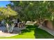Serene backyard featuring a lush green lawn, mature trees, a patio, and a built-in grill area at 4037 E Elmwood St, Mesa, AZ 85205