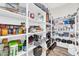 Walk-in pantry with organized shelving, offering ample storage for food and kitchen supplies at 42161 N Via Cienna --, San Tan Valley, AZ 85140