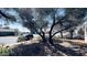 Neighborhood street view featuring a car parked near a tree and a stop sign at 498 W Gail Dr, Chandler, AZ 85225