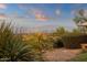 Lush backyard with desert landscaping and mountain views at 15600 E Robin Dr, Fountain Hills, AZ 85268