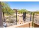 The property features desert views from the patio, surrounded by mature landscaping at 16134 E Ridgestone Dr, Fountain Hills, AZ 85268