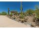 Desert home featuring landscaping, a private drive, and beautiful cacti at 6010 E Languid Ln, Carefree, AZ 85377
