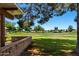 Manicured lawn with beautiful green golf course view at 631 Leisure World --, Mesa, AZ 85206