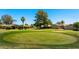 Picturesque golf course view with a manicured green, mature trees, and residential homes in the background at 631 Leisure World --, Mesa, AZ 85206
